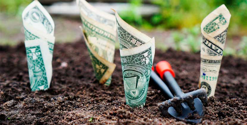 Стать богатым несложно!