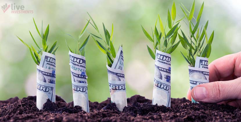 Как научиться правильно управлять деньгами. Множество источников дохода