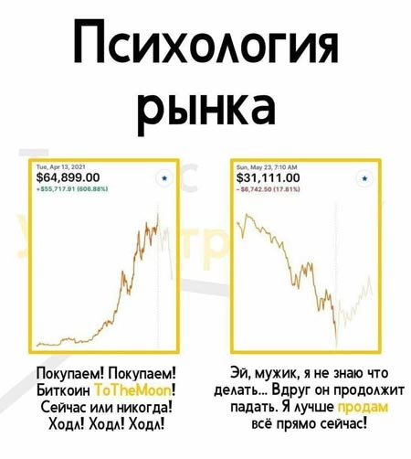 Прогноз крипты 2022
