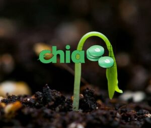 Chia Network — темная лошадка крипторынка. Какую жду цену