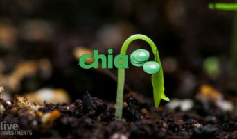 Chia Network — темная лошадка крипторынка. Какую жду цену